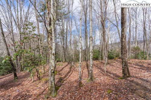 107 Chicory Lane, Beech Mountain, NC, 28604 | Card Image