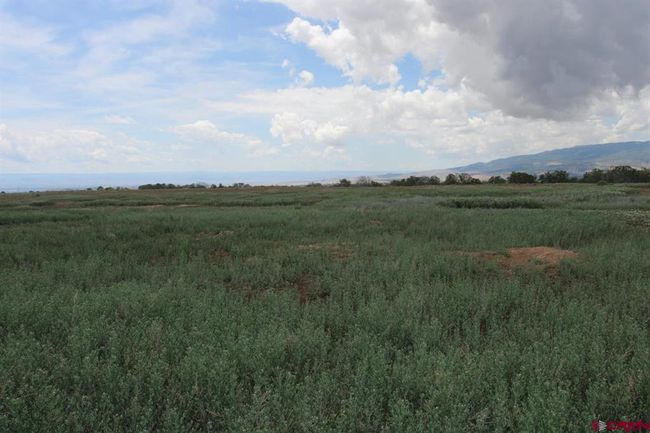 14433 2600 Rd, Home with 0 bedrooms, 0 bathrooms and null parking in Cedaredge CO | Image 41