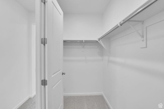Walk in closet with carpet floors | Image 6