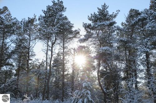 Parcel F-3 N 2 1/2 Road, Buckley, MI, 49620 | Card Image