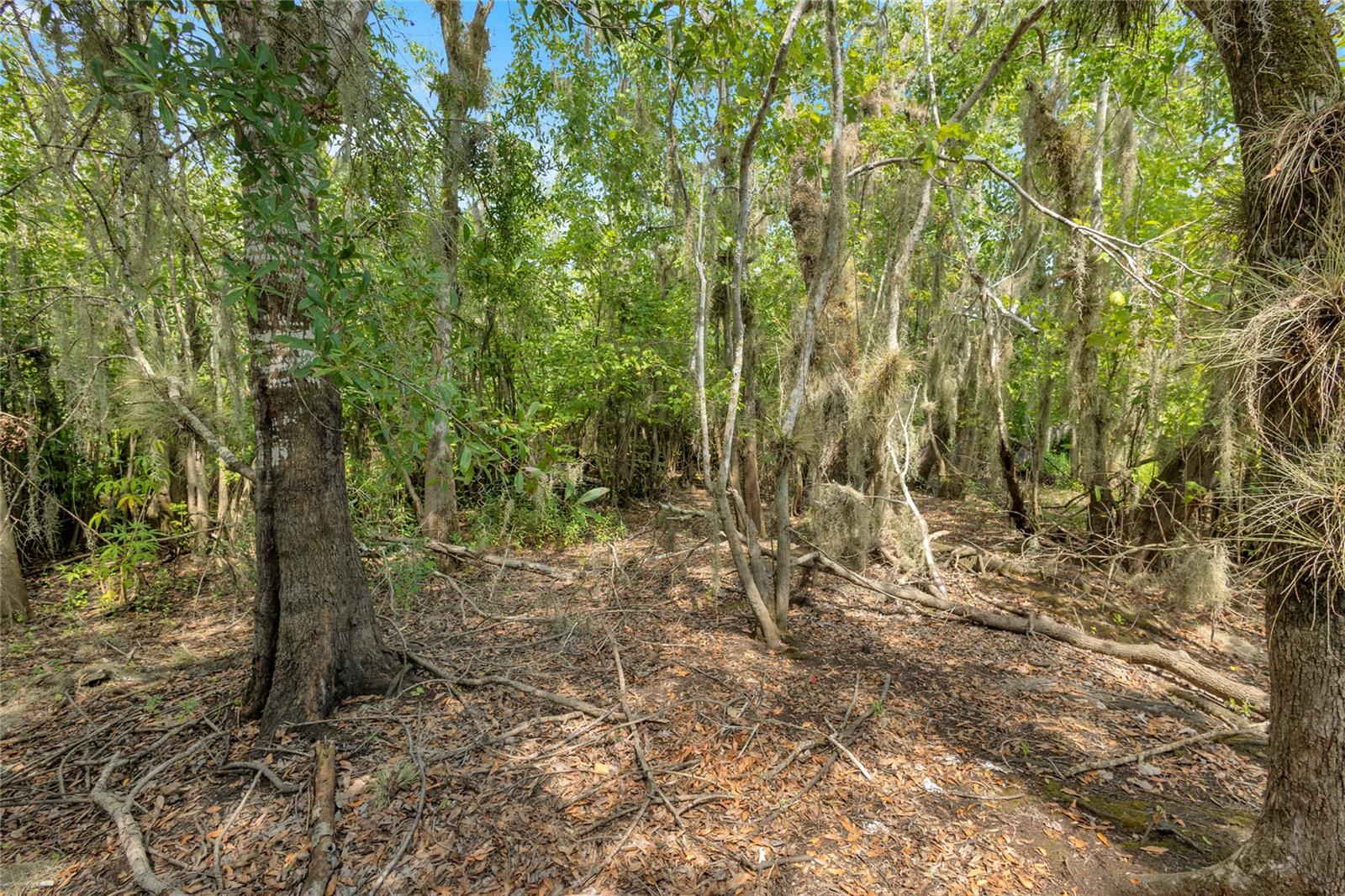 Land in DELAND 3