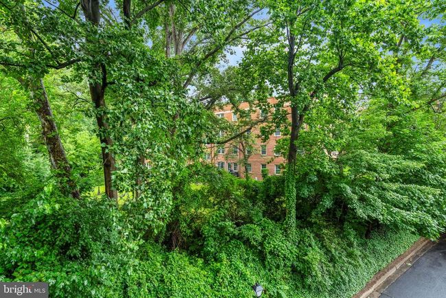 APT-3C - 2100 Washington Ave, Condo with 3 bedrooms, 2 bathrooms and null parking in Silver Spring MD | Image 30