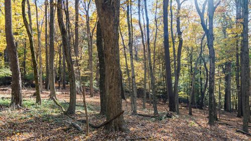 0 Dorrence Rd, Granville, OH, 43023 | Card Image