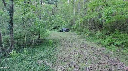 217 Coal Chute Road, Elizabethton, TN, 37643 | Card Image