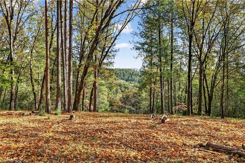 0 Burgundy Ln, Forest Ranch, CA, 95942 | Card Image