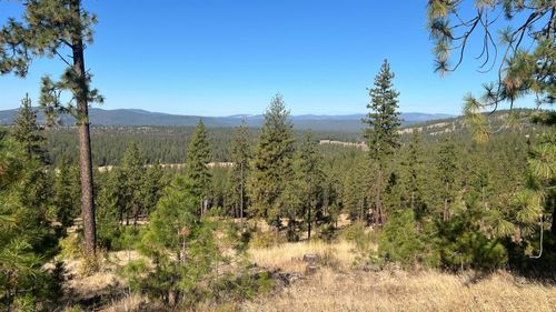NNA Corkscrew Canyon Rd, Tumtum, WA, 99034 | Card Image