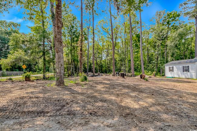 View of yard | Image 34