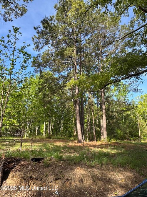 0 Stump Rd, Gloster, MS, 39638 | Card Image