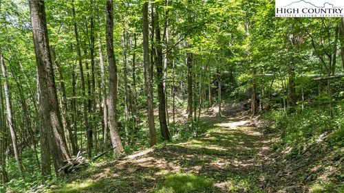 TBD Longhope Rd, Todd, NC, 28684 | Card Image