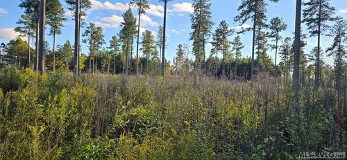 Lot 1 W Church St, Lawrenceville, VA, 23868 | Card Image