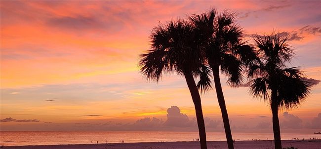 APT-807 - 3820 Gulf Blvd, Condo with 2 bedrooms, 2 bathrooms and null parking in ST PETE BEACH FL | Image 65