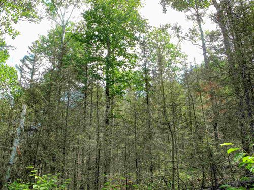 xxx The Grade, Lutsen, MN, 55612 | Card Image