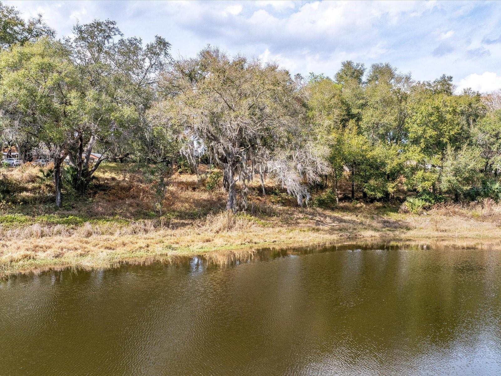 Land in ORLANDO 3