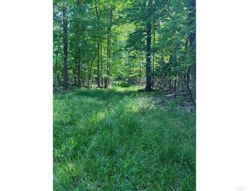 0 Lange Road, Birch Run Township, MI, 48722 | Card Image