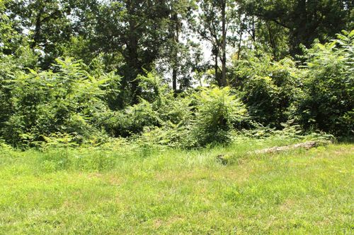 Lots 396 & 397 Ln 415 A Jimmerson Lake, Fremont, IN, 46737 | Card Image