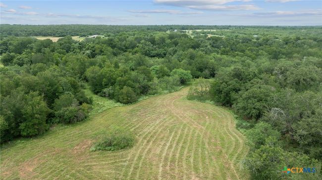 3597 Baker Rd, Home with 0 bedrooms, 0 bathrooms and null parking in Kingsbury TX | Image 39