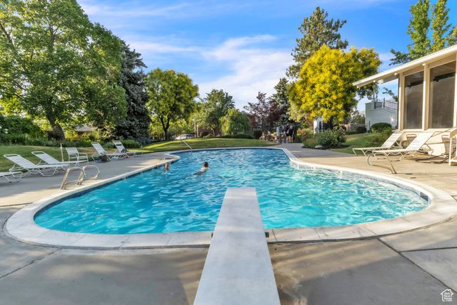 Swimming pool featuring a patio area, a diving board, and a yard | Image 25
