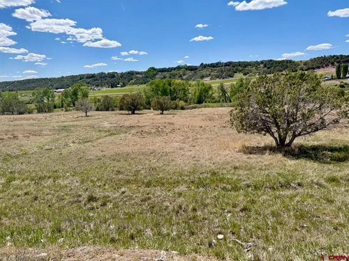 1424 Wrangler Way, Durango, CO, 81303-8035 | Card Image