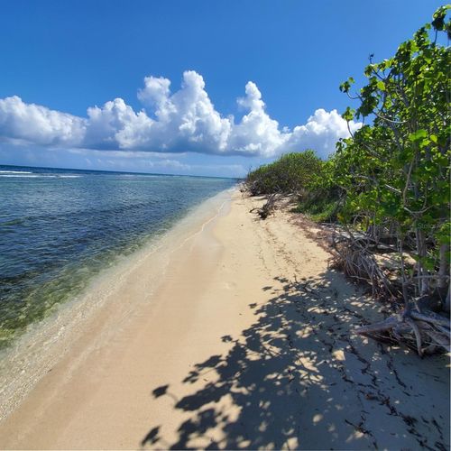 8C Barrio Frailes, Culebra, PR, 00775 | Card Image