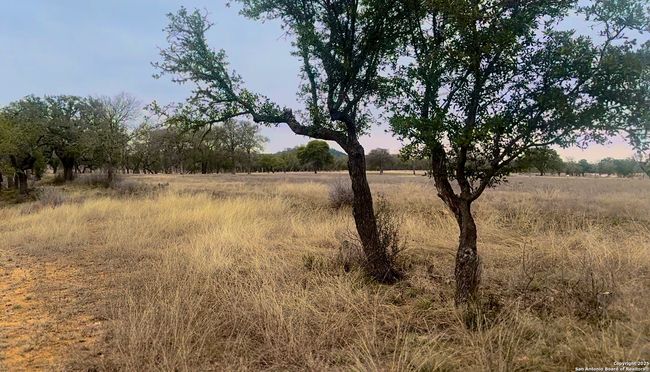 0 Creekside At Camp Verde Phase 2 Lot 151, Home with 0 bedrooms, 0 bathrooms and null parking in Center Point TX | Image 16