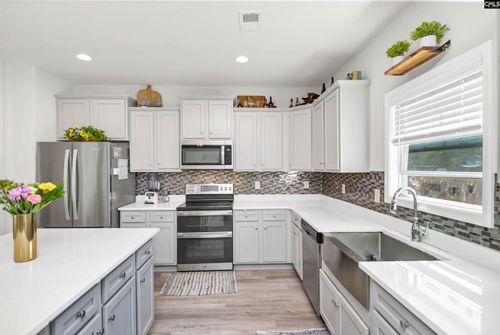 143 Doolittle Dr, Chapin, SC, 29036-9821 | Card Image