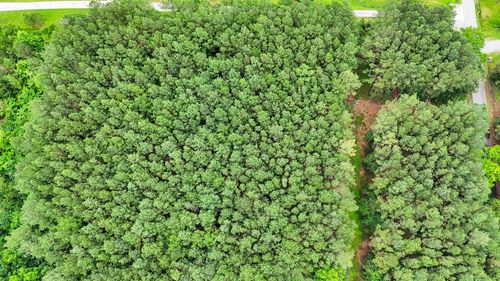 1645 Billingsley Rd, Soddy Daisy, TN, 37379-8201 | Card Image