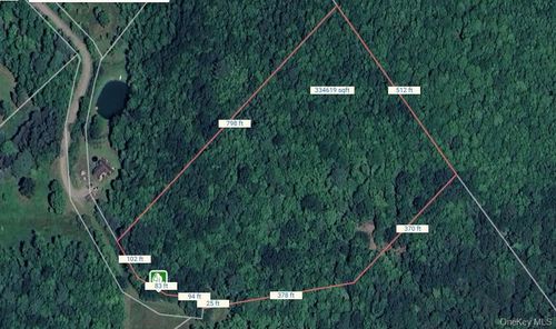 Lot 29.4 Sunset Trl, Franklin, NY, 13775 | Card Image