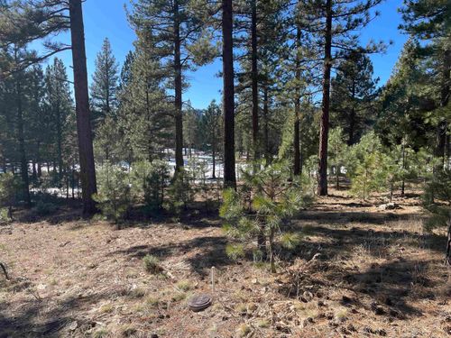 57 Red Hawk Dr, Portola, CA, 96122 | Card Image