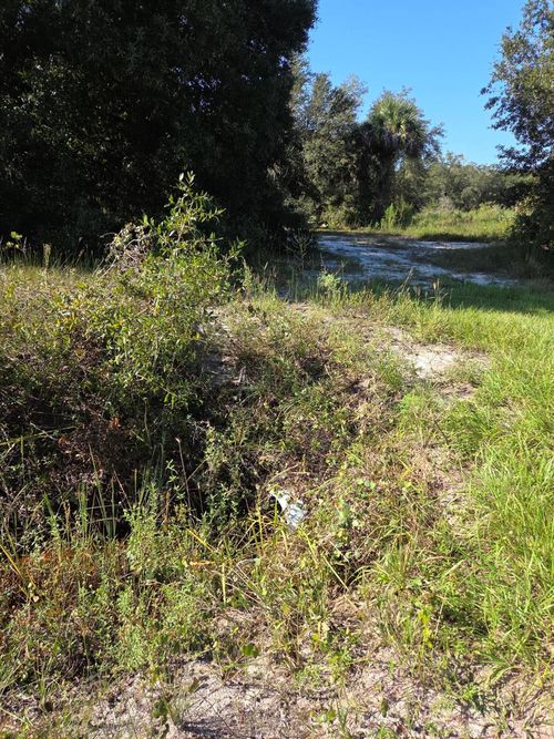 18336 Nw 308th St, Okeechobee, FL, 34972 | Card Image