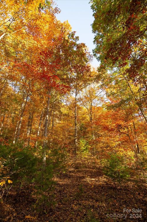 27-and-29-3.08 ac Cobblestone Drive, Waynesville, NC, 28786 | Card Image