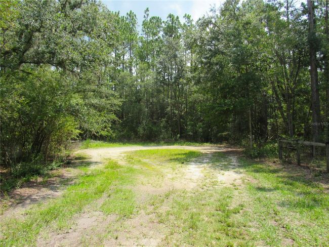 Short Limestone Road (Off Paved Road) to Cul-De-Sac Which is Hard Dirt. Gorgeous Property with 1.33 Acres of Privacy. Within Minutes To Major Highways, Interstates and Shopping Galore but Nestled In The Country From The Hustle and Bustle of The Surrounding Cities...Short Distance To The New World Equestrian Center in Ocala! | Image 6