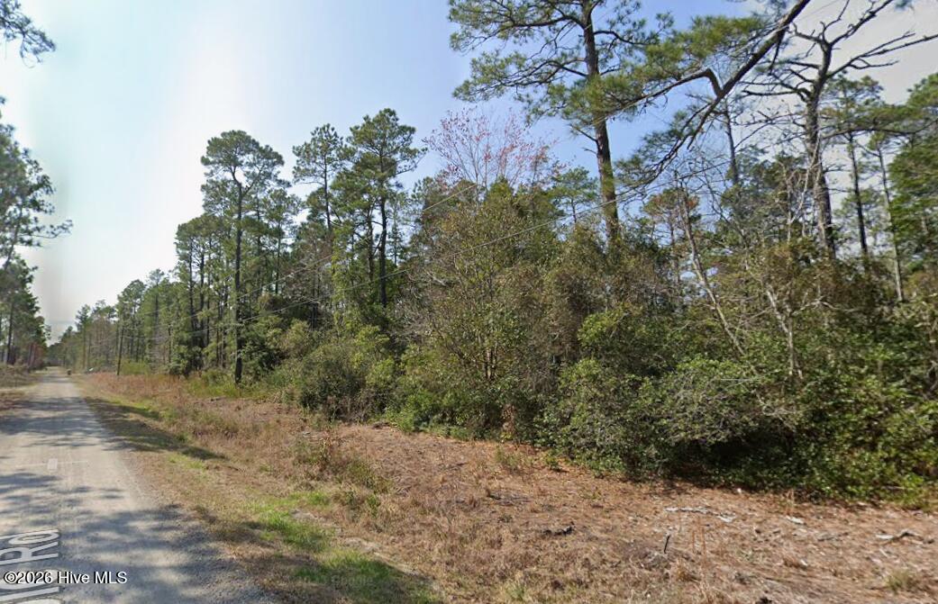 Land in Boiling Spring Lakes 2