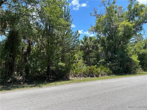 10293 N Coco Plumosa Dr, Crystal River, FL, 34428-7533 | Card Image