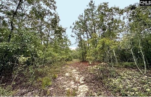 0 Fallaw Road, Gaston, SC, 29053 | Card Image