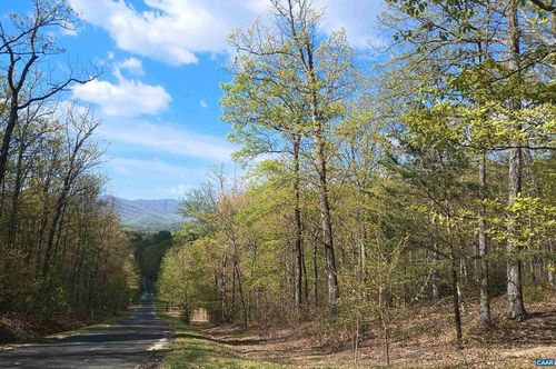 5-0 Rockfish Heights Ln, Nellysford, VA, 22958 | Card Image