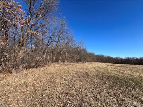 53 Louisville Road, Bowling Green, MO, 63334 | Card Image