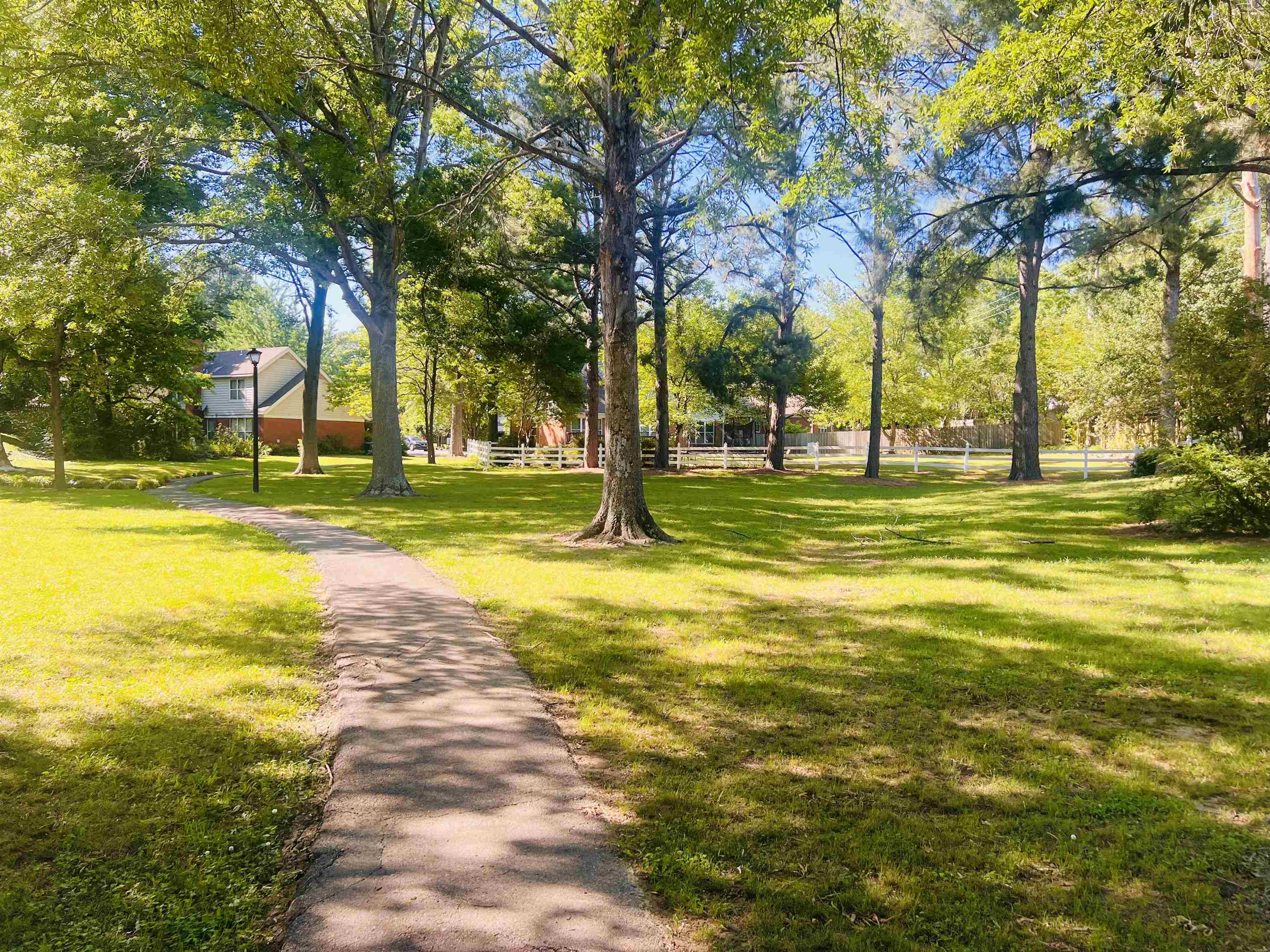 Residential in Memphis 2