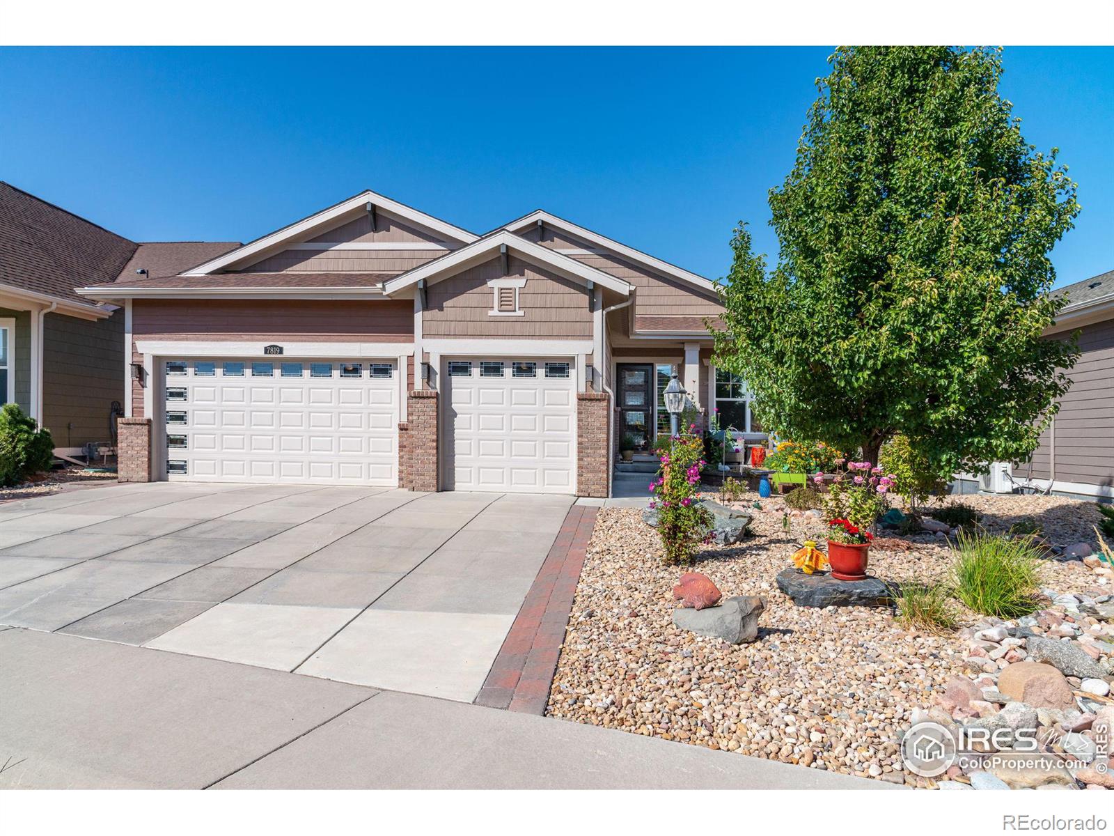 Spruce Ct, Thornton, CO 80602
