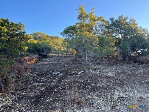 340 Ledgeview Dr, Canyon Lake, TX, 78133-4932 | Card Image