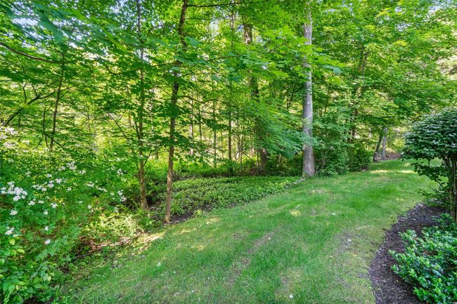View of yard featuring a view of trees | Image 35