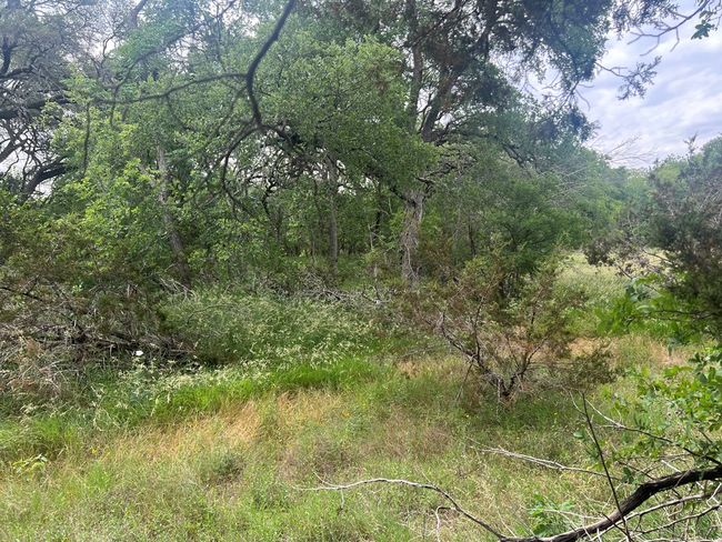 41 - TBD Blanco Ave, Home with 0 bedrooms, 0 bathrooms and null parking in Blanco TX | Image 8