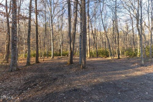 0 Briar Fork Rd, Bean Station, TN, 37708 | Card Image