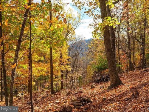 Lot 42 Treehouse Pl, NELLYSFORD, VA, 22958-3087 | Card Image