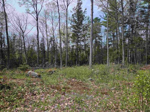 Lot 10.1 Wallace Hill Rd, Franconia, NH, 03580 | Card Image
