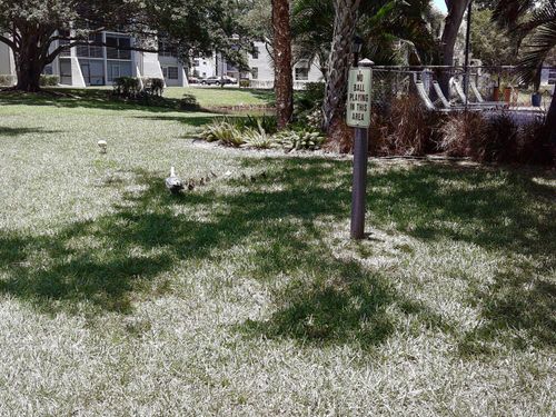 409-9420 Poinciana Pl, Davie, FL, 33324-4848 | Card Image
