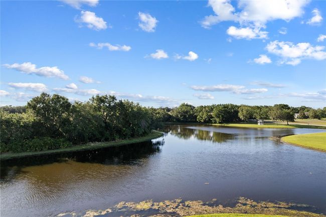 7351 Spring Mountain Ln, House other with 5 bedrooms, 4 bathrooms and null parking in YALAHA FL | Image 83