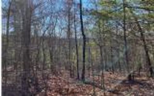 0 Ashlyn Ct, Morganton, GA, 30560 | Card Image