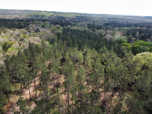 TBD Fm 2974, Center, TX, 75935 | Card Image