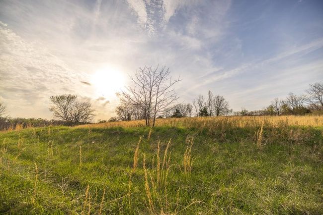 View of local wilderness featuring a rural view | Image 81