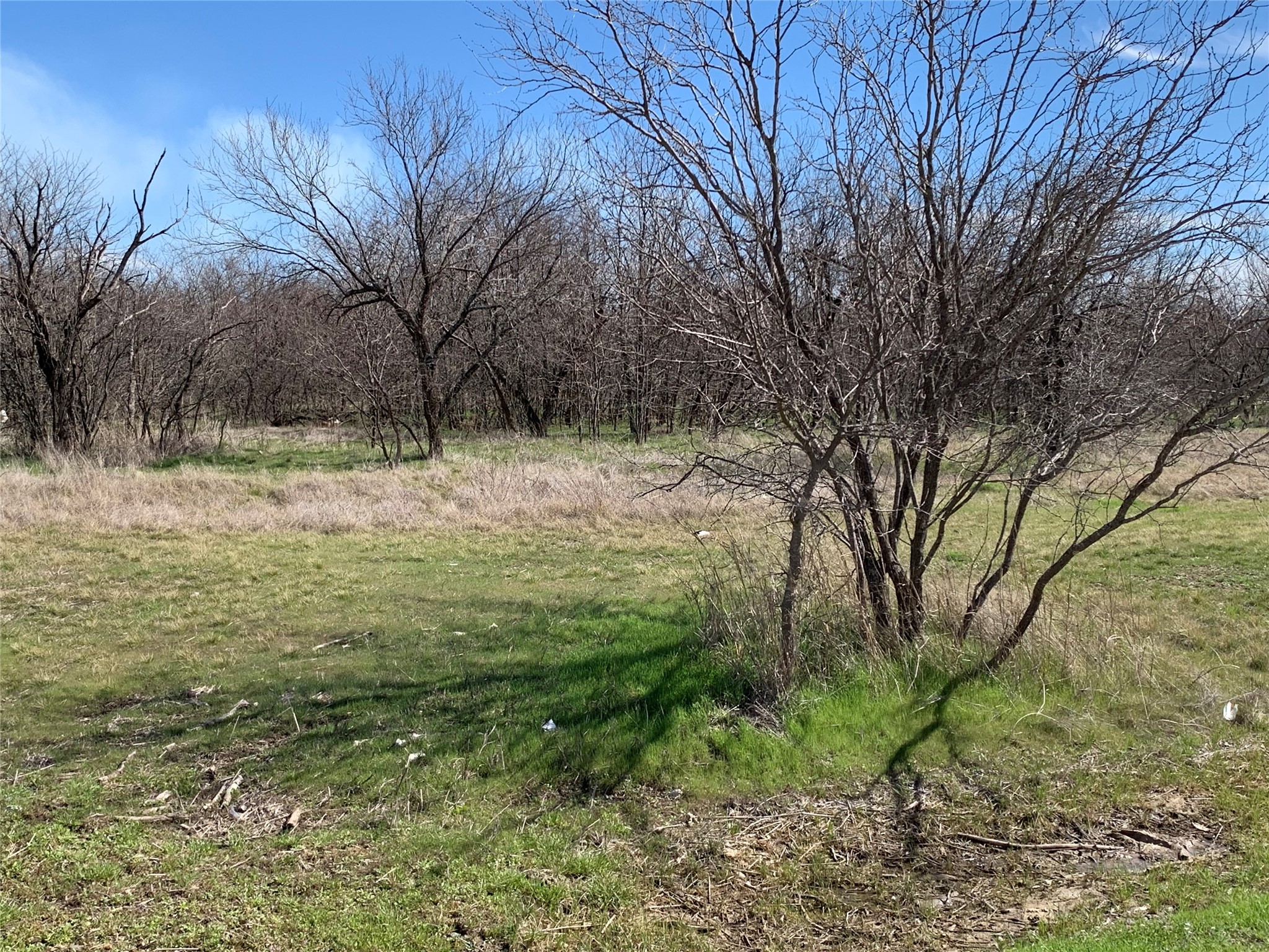 Land in Bridgeport